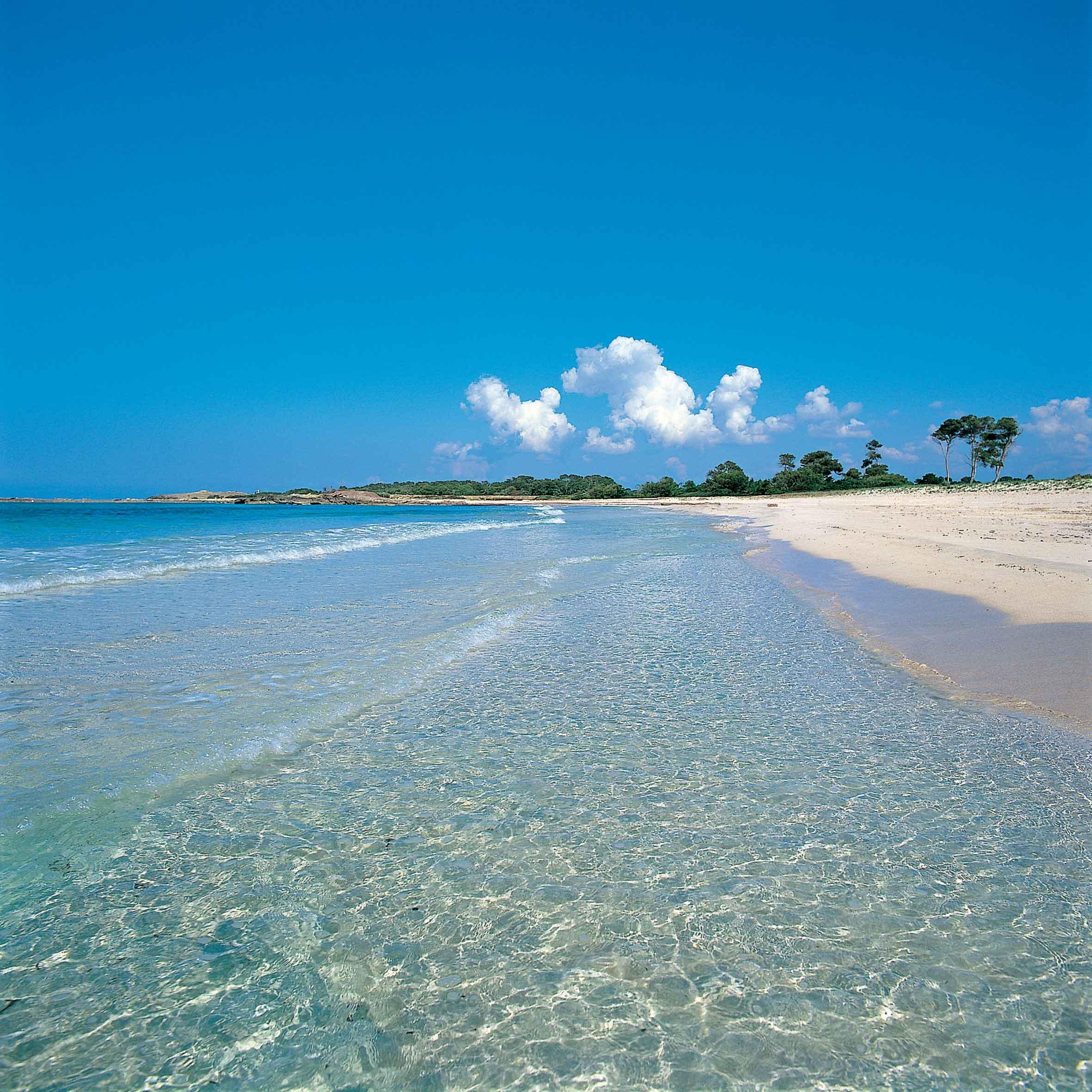 Aparthotel Isla De Cabrera Colonia de Sant Jordi Zewnętrze zdjęcie